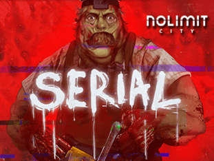 Serial icon